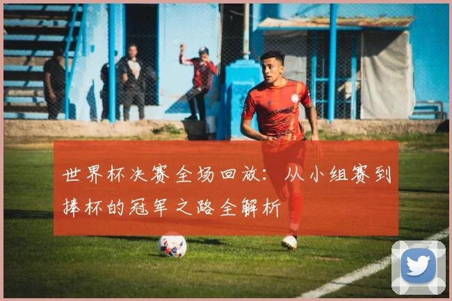 世界杯决赛全场回放：从小组赛到捧杯的冠军之路全解析